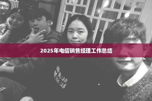 2025年电信销售经理工作总结