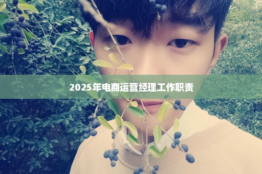 2025年电商运营经理工作职责