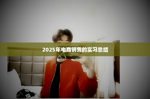 2025年电商销售的实习总结
