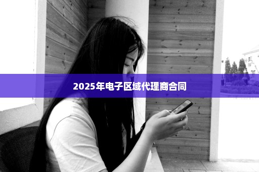 2025年电子区域代理商合同