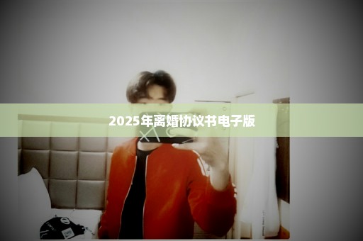 2025年离婚协议书电子版