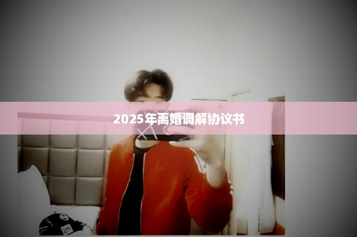 2025年离婚调解协议书