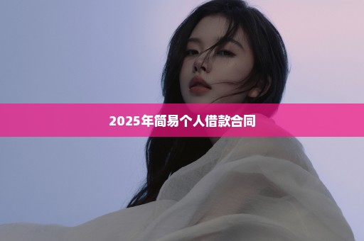 2025年简易个人借款合同