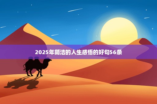 2025年简洁的人生感悟的好句56条