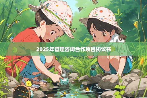 2025年管理咨询合作项目协议书