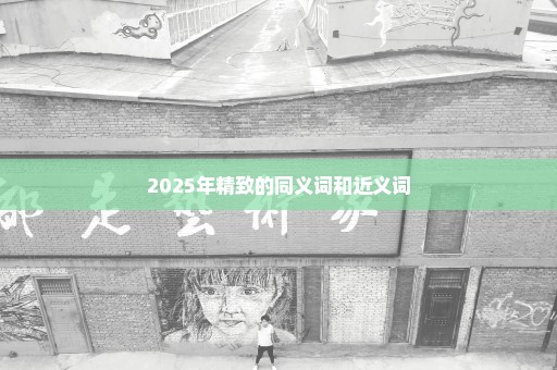 2025年精致的同义词和近义词