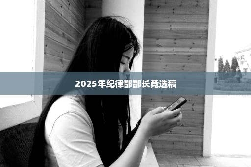 2025年纪律部部长竞选稿