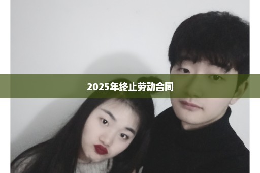 2025年终止劳动合同