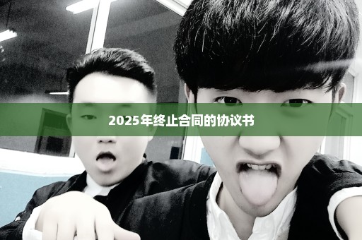 2025年终止合同的协议书