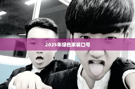 2025年绿色家装口号