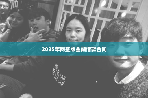 2025年网签版金融借款合同