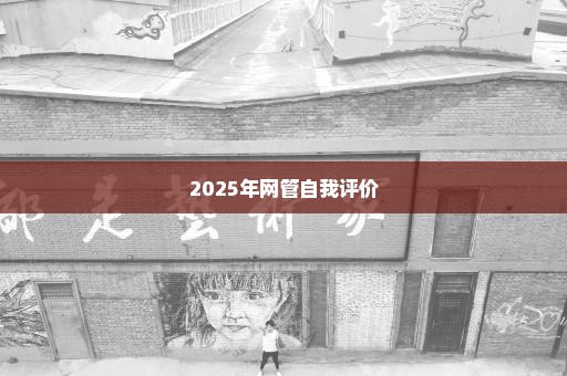 2025年网管自我评价