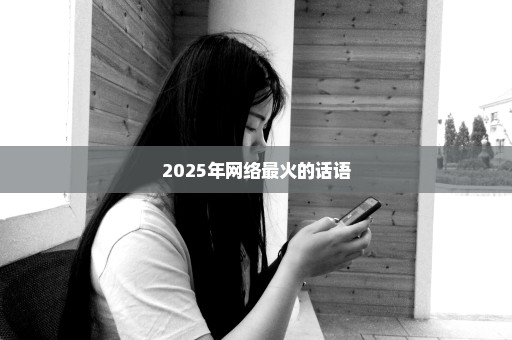 2025年网络最火的话语