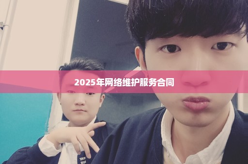 2025年网络维护服务合同
