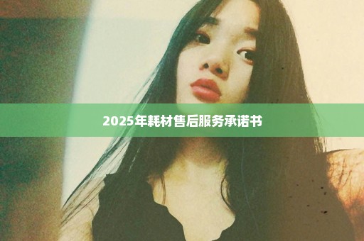 2025年耗材售后服务承诺书