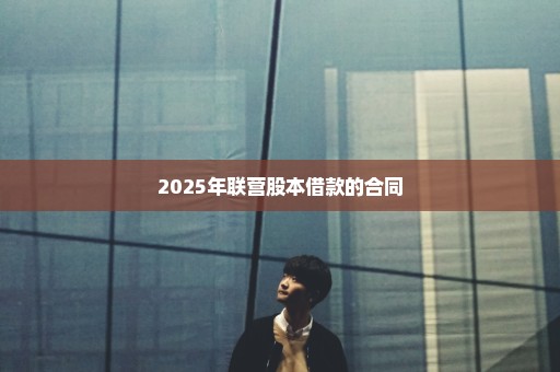 2025年联营股本借款的合同