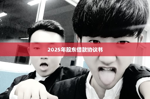 2025年股东借款协议书