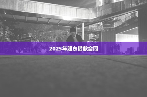 2025年股东借款合同