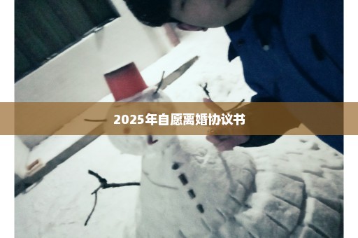 2025年自愿离婚协议书