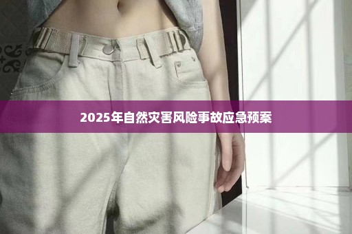 2025年自然灾害风险事故应急预案
