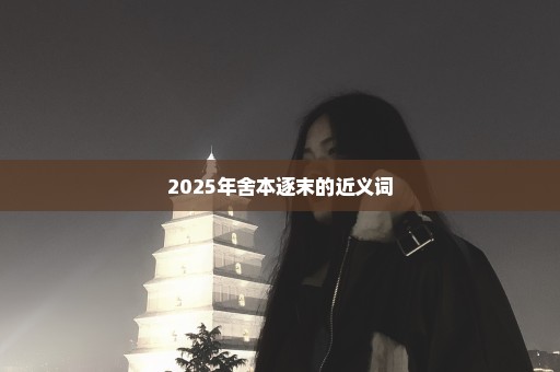 2025年舍本逐末的近义词