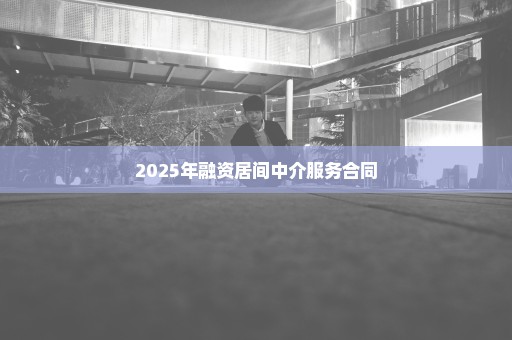 2025年融资居间中介服务合同