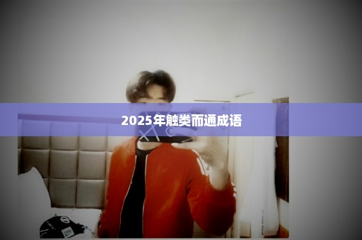 2025年触类而通成语