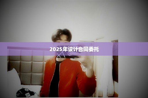 2025年设计合同委托