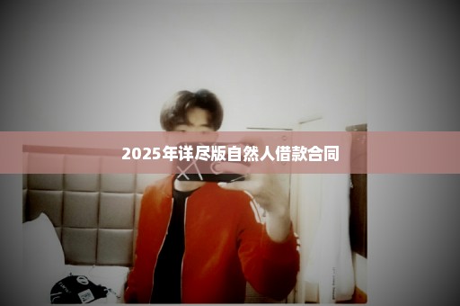 2025年详尽版自然人借款合同