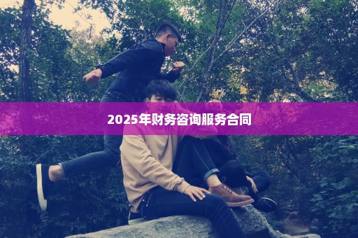 2025年财务咨询服务合同