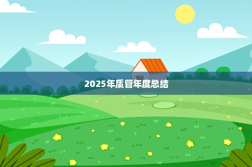 2025年质管年度总结