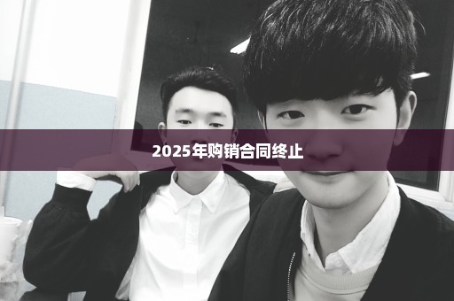 2025年购销合同终止