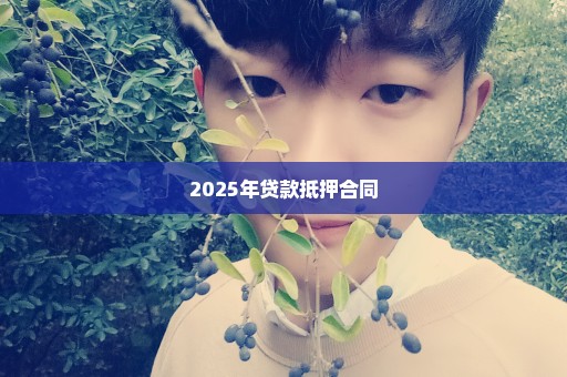2025年贷款抵押合同