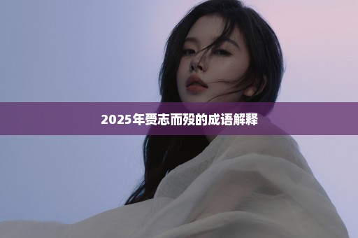 2025年赍志而殁的成语解释