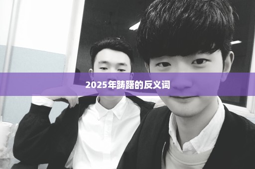 2025年踌躇的反义词