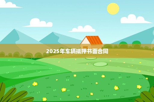 2025年车辆抵押书面合同