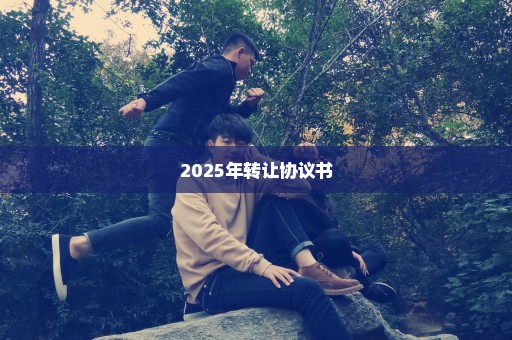 2025年转让协议书