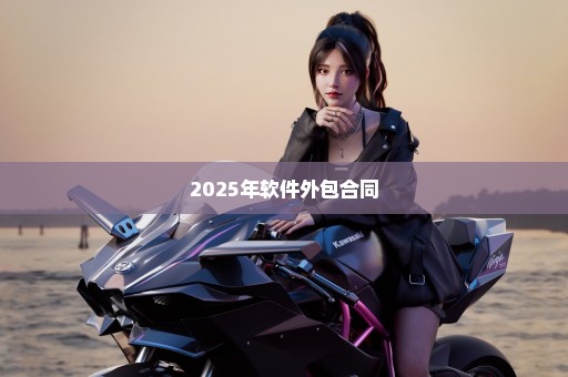 2025年软件外包合同