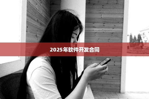 2025年软件开发合同