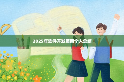 2025年软件开发项目个人总结