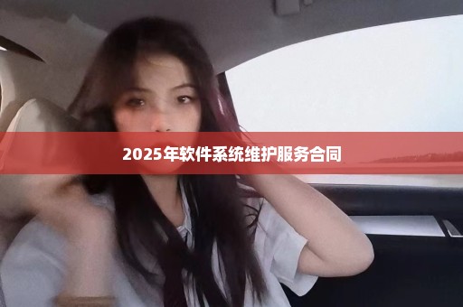 2025年软件系统维护服务合同
