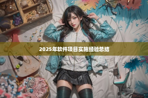 2025年软件项目实施经验总结