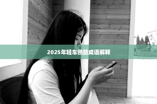 2025年轻车熟路成语解释