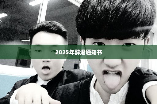 2025年辞退通知书