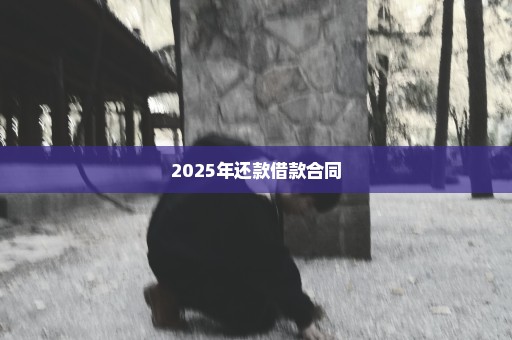 2025年还款借款合同