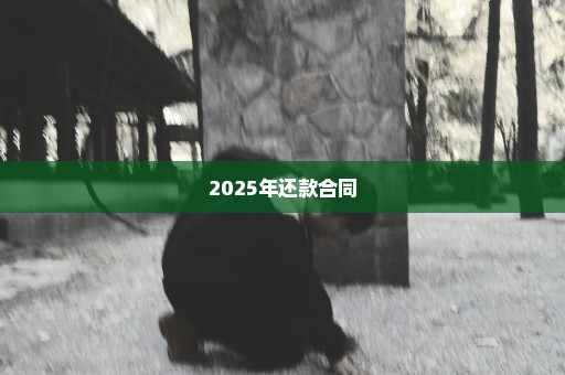 2025年还款合同
