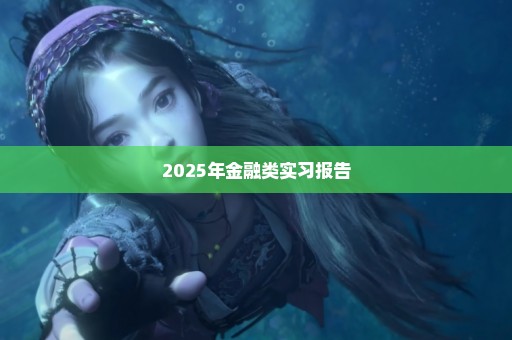 2025年金融类实习报告