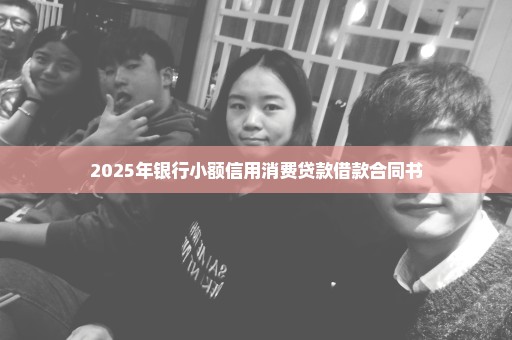 2025年银行小额信用消费贷款借款合同书