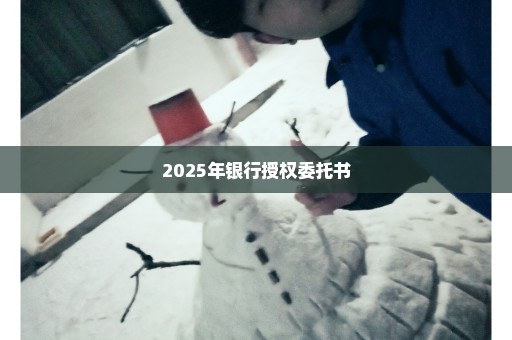 2025年银行授权委托书