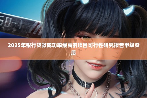 2025年银行贷款成功率最高的项目可行性研究报告甲级资质